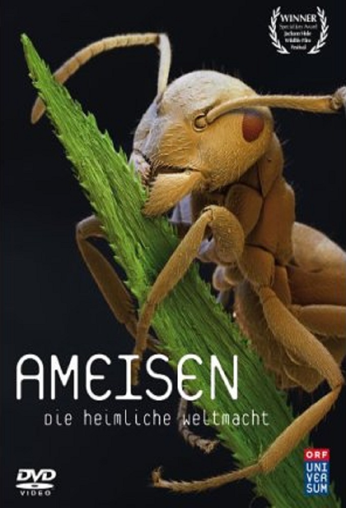 Watch Ants - Nature's Secret Power online